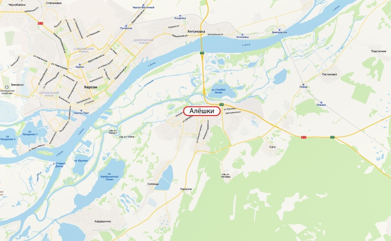 Власти сообщили об ударах дронов по многоквартирным домам в Алешках