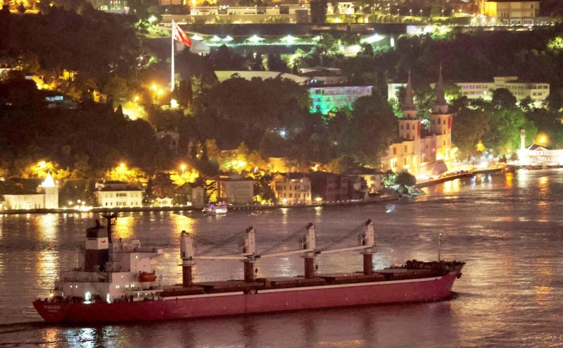 Власти Турции опровергли прекращение выдачи ВНЖ во всех районах