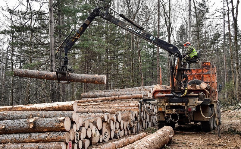 Власти вернулись к идее обязать бизнес продавать до 25% товаров на