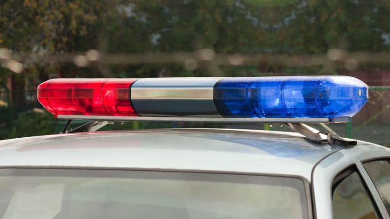 В&nbsp;Самаре экскаватор насмерть раздавил девушку на&nbsp;пешеходном переходе