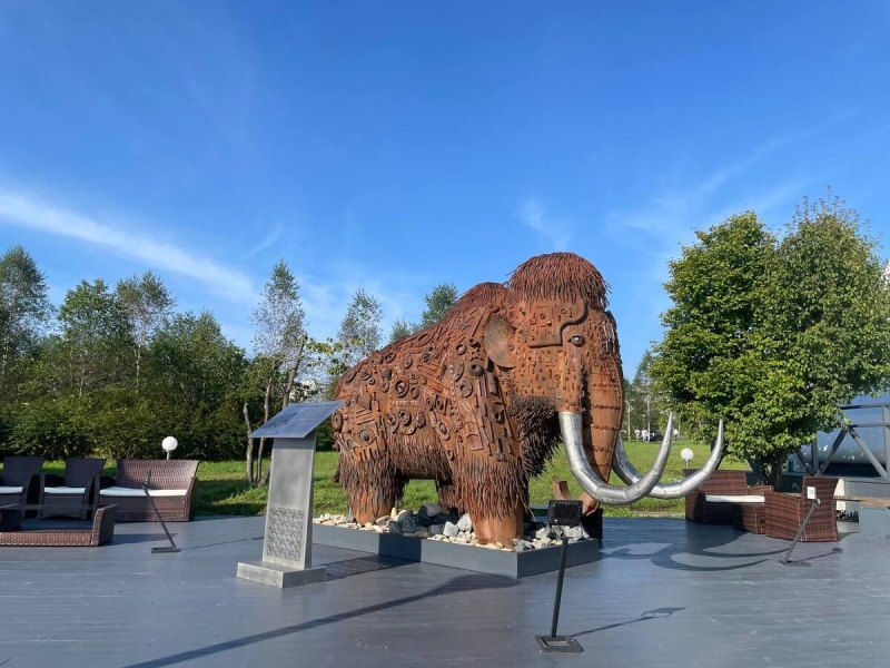 Во Владивостоке начался юбилейный ВЭФ-2025. Фото