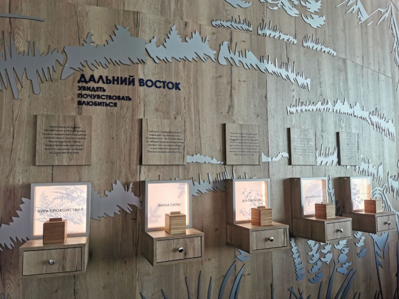 Во Владивостоке начался юбилейный ВЭФ-2025. Фото