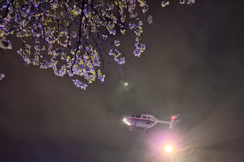 Во время взрыва и пожара в доме в Москве погибли два человека