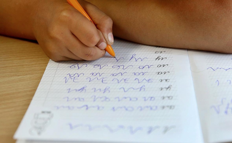 Володин назвал «девальвацией норм закона» идею Рособрнадзора по