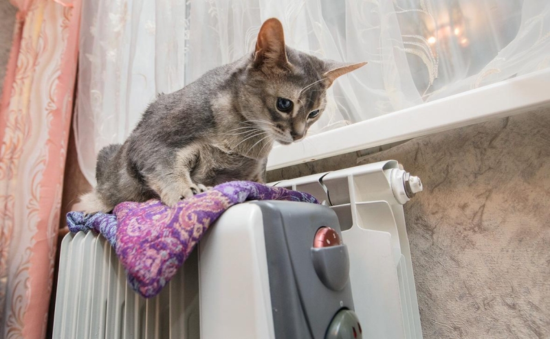 Воробьев назвал тяжелой ситуацию после ЧП с отоплением в Подмосковье