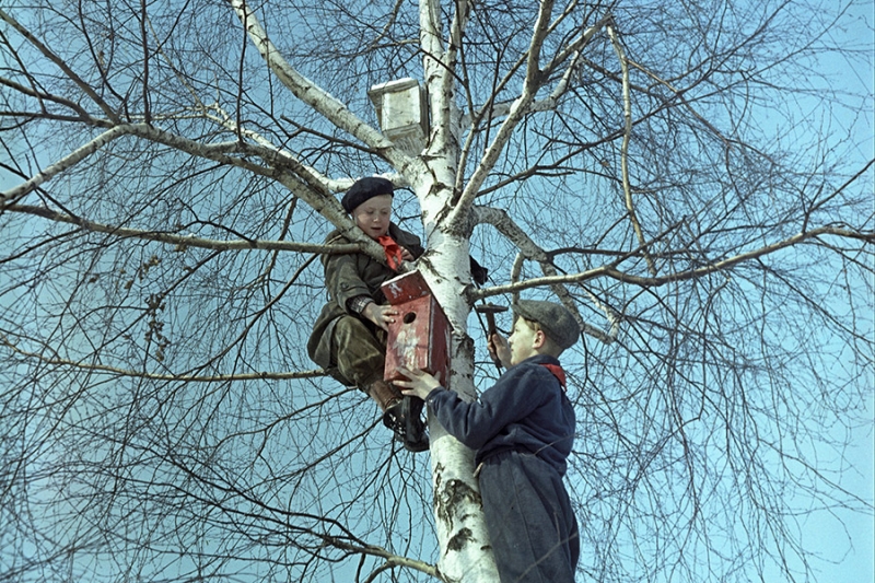 «Воспитывать детвору в ленинском духе». Пионерской организации 100 лет