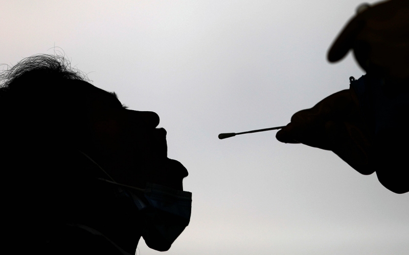 ВОЗ внесла обнаруженный в России штамм COVID-19 в свою классификацию