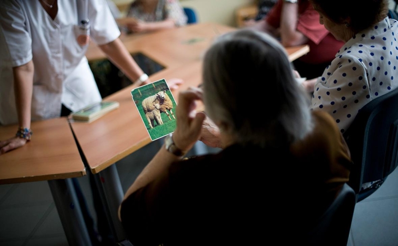 Врачи оценили идею лечения деменции у мужчин и женщин «Виагрой»