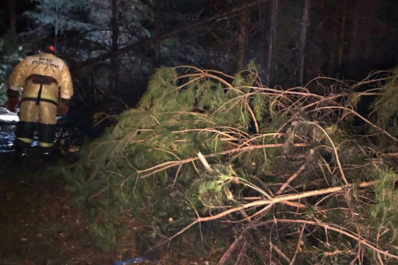 Все находившиеся на борту потерпевшего крушение Ми-2 погибли