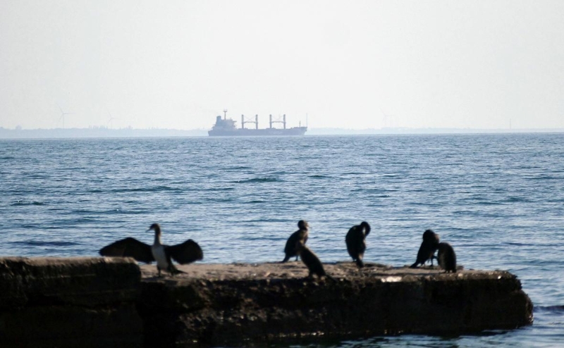 Второе после прекращения зерновой сделки судно вышло из Одессы