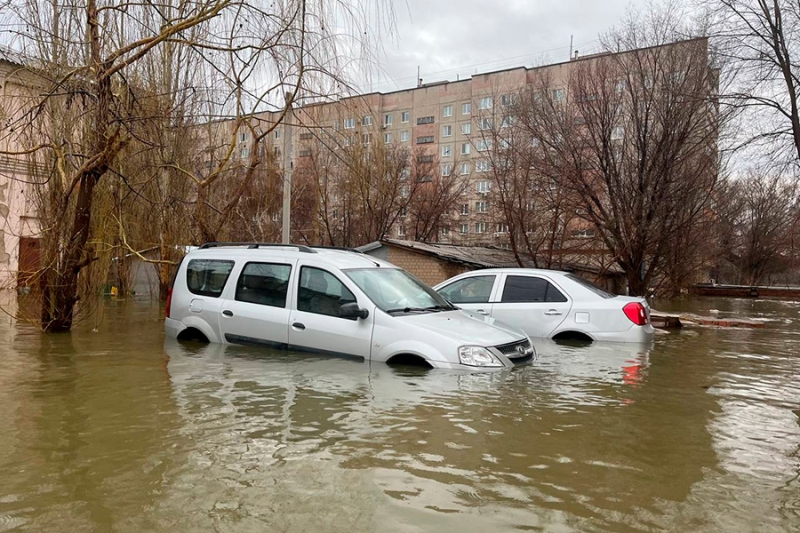 «Взяли попугая, деньги и убежали»: репортаж РБК из затопленного Орска