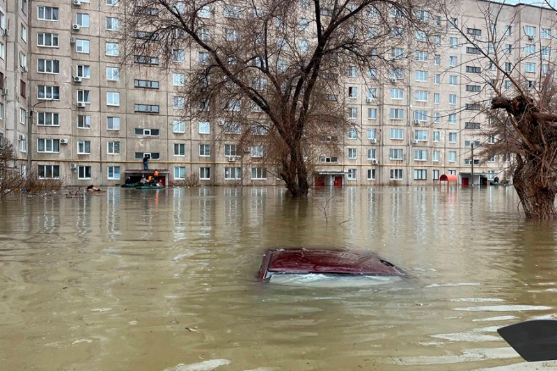 «Взяли попугая, деньги и убежали»: репортаж РБК из затопленного Орска