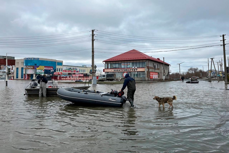 «Взяли попугая, деньги и убежали»: репортаж РБК из затопленного Орска