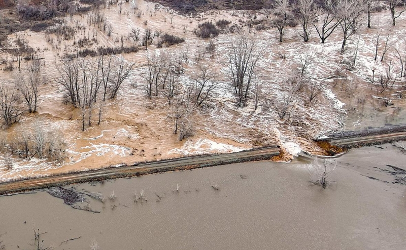 «Взяли попугая, деньги и убежали»: репортаж РБК из затопленного Орска