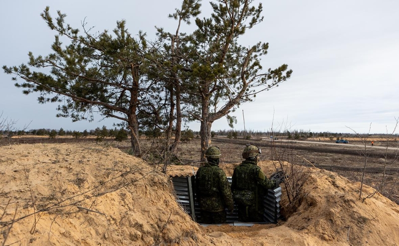 WSJ сообщила об оценке НАТО вероятности нападения России на соседей