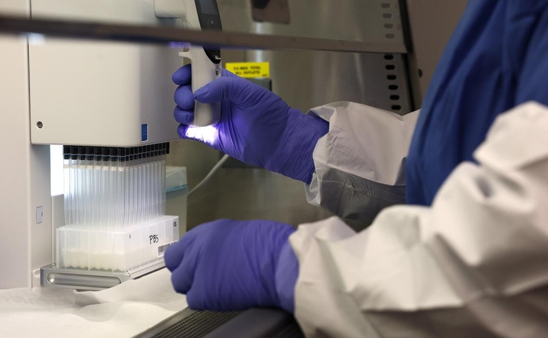 WSJ узнала, как в США «богатые создают генетическую суперкасту»