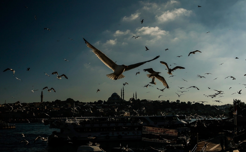 Запрет на полеты в Турцию и Танзанию. Что делать туристам