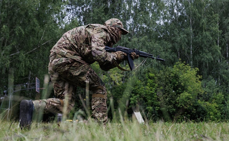 Запреты для мигрантов, иноагентов и блогеров — законы 2024 года