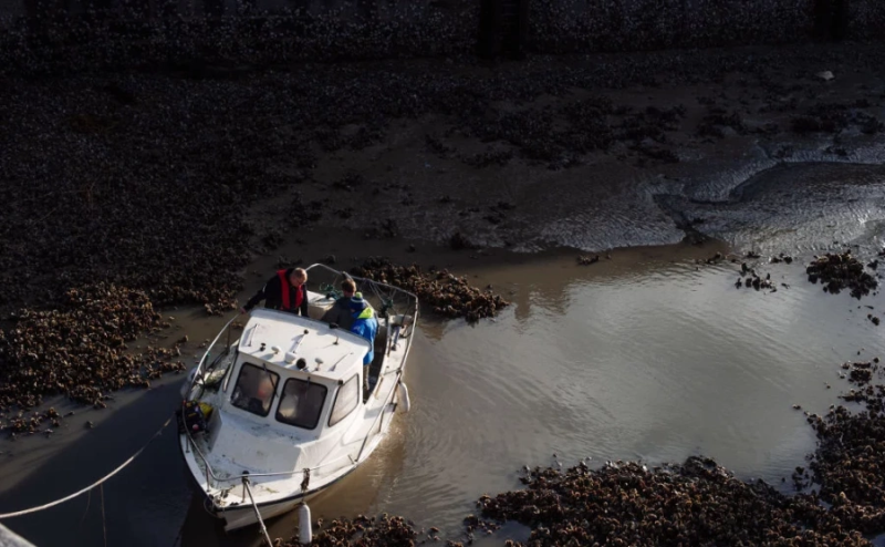 Заработок российского бизнеса вырос на треть. С чем это связано
