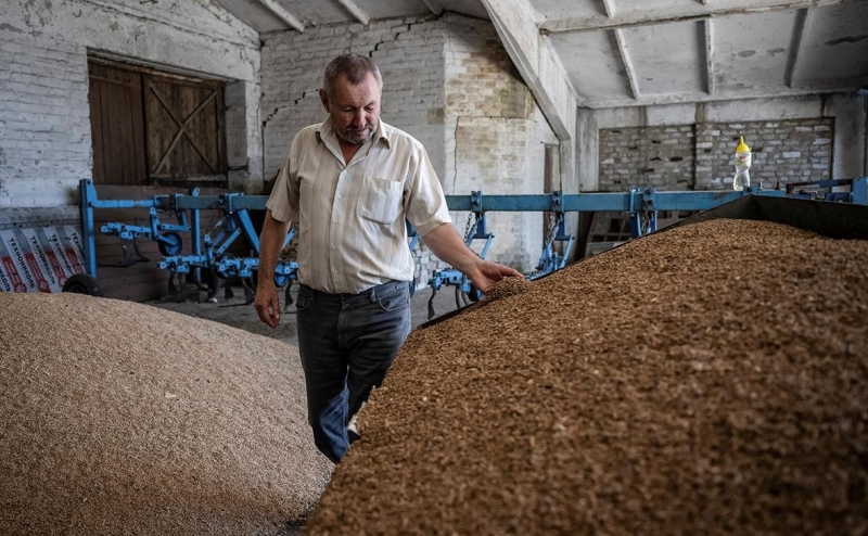 Зеленский анонсировал новый зерновой коридор через Молдавию и Румынию