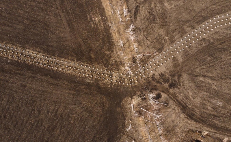 Зеленский допустил для Украины «корейский сценарий» с нюансом