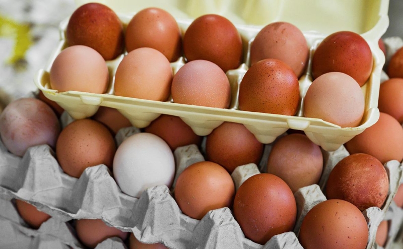 Зеленский предложил сменить министра обороны