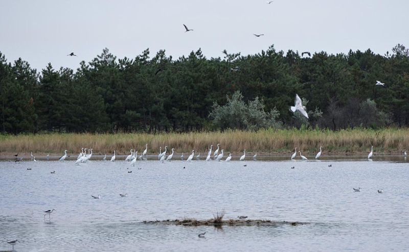 Зеленский рассказал о предложении России обменять Кинбурнскую косу