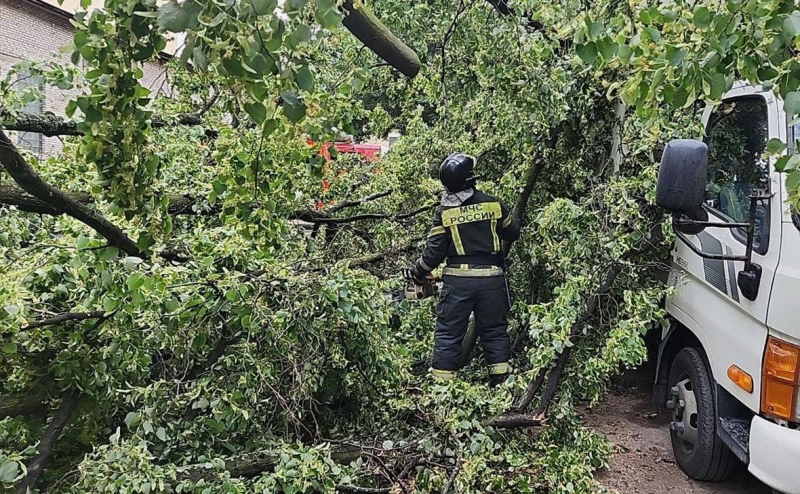 Женщина погибла во время непогоды в Петербурге