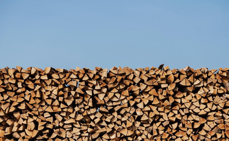 Жители Нидерландов начали закупаться дровами на случай нехватки газа