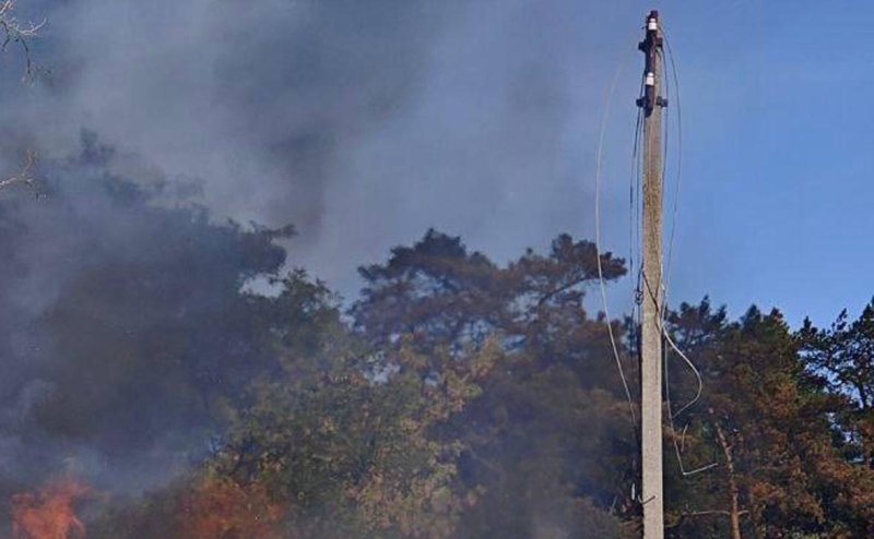Жители севера Санкт-Петербурга остались без света