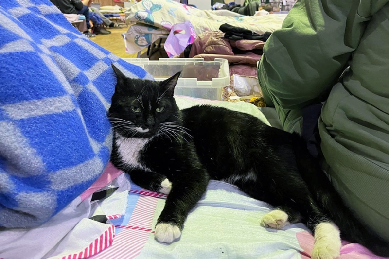 Жители Суджи — о жизни в подвалах, похоронах соседей и освобождении