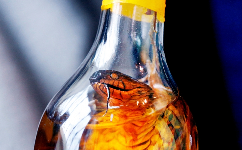 Жителям Оренбургской области предложили обменять алкоголь на еду