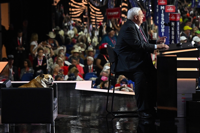 «Животный» взгляд на события в мире в 2024 году. Фотогалерея