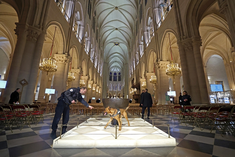 «Животный» взгляд на события в мире в 2024 году. Фотогалерея