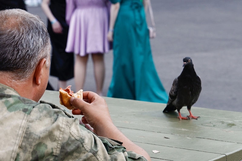 «Животный» взгляд на события в мире в 2024 году. Фотогалерея
