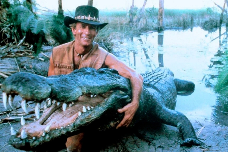 «Животный» взгляд на события в мире в 2024 году. Фотогалерея