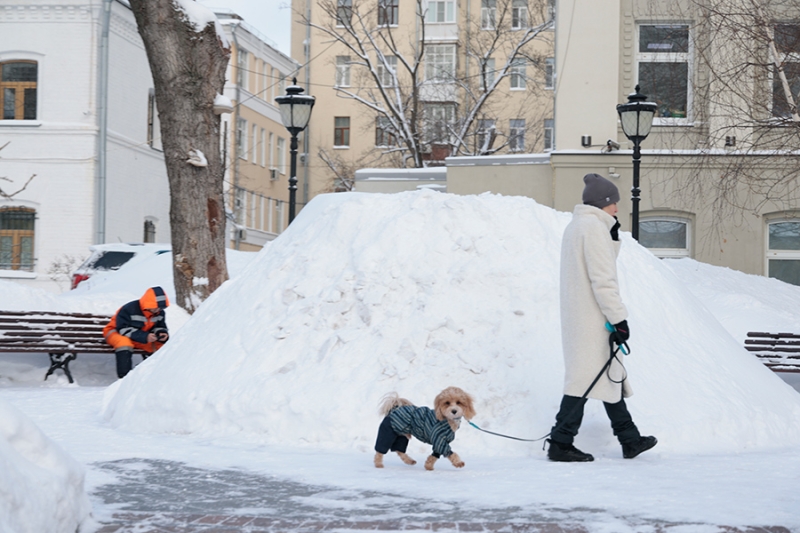 «Животный» взгляд на события в мире в 2024 году. Фотогалерея